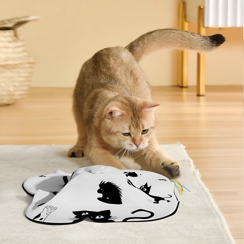 Self-hi relief interactive cat teaser toy with feather wobbler in picture colour.