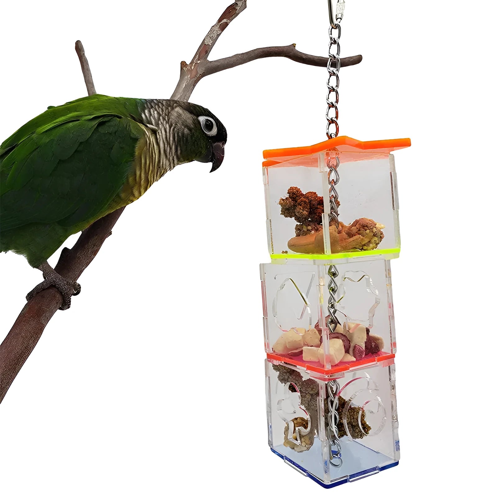 Clear acrylic parrot foraging toy measuring 5x5x32cm for bird enrichment with fruit and nuts