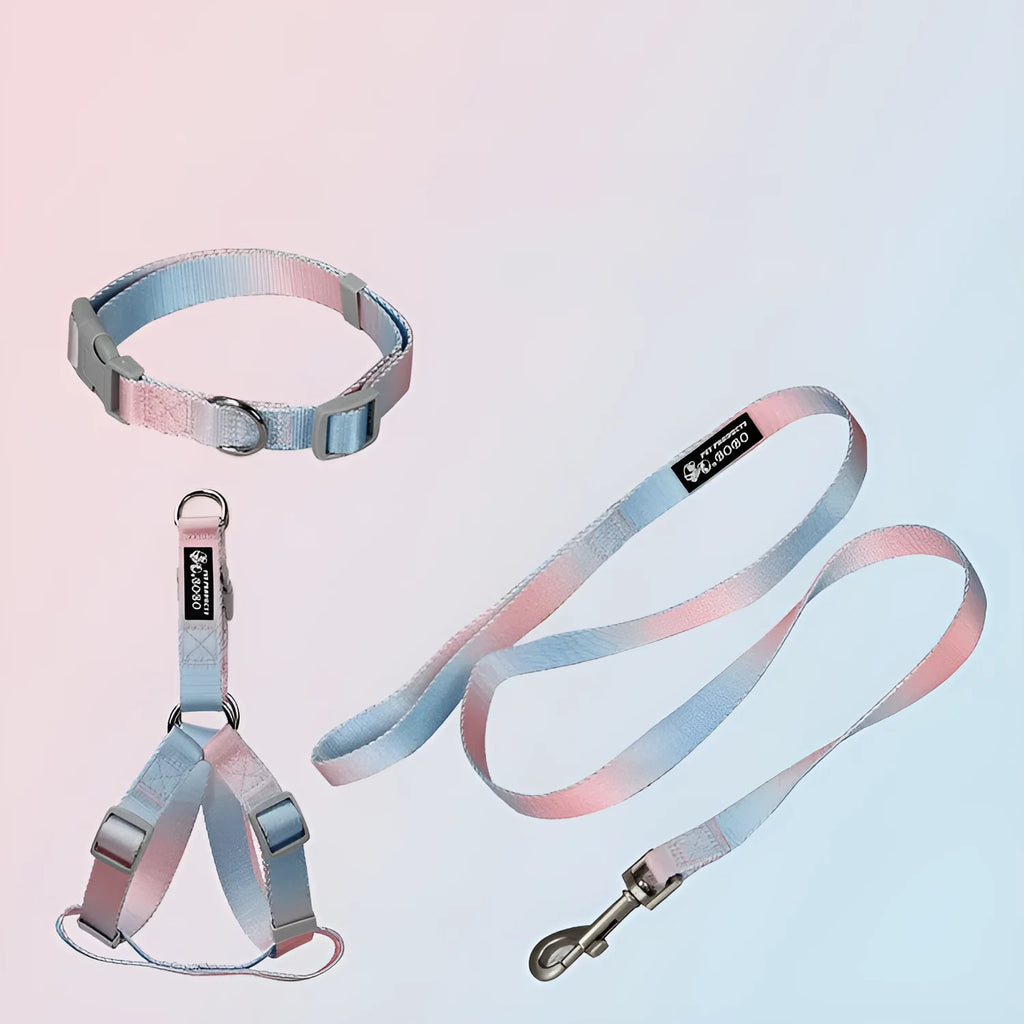 Nylon dog leash and matching gradient colour collar set for pet walking