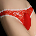 Men's lace underwear briefs with vertical bag egg design and penis cover in triangle cut