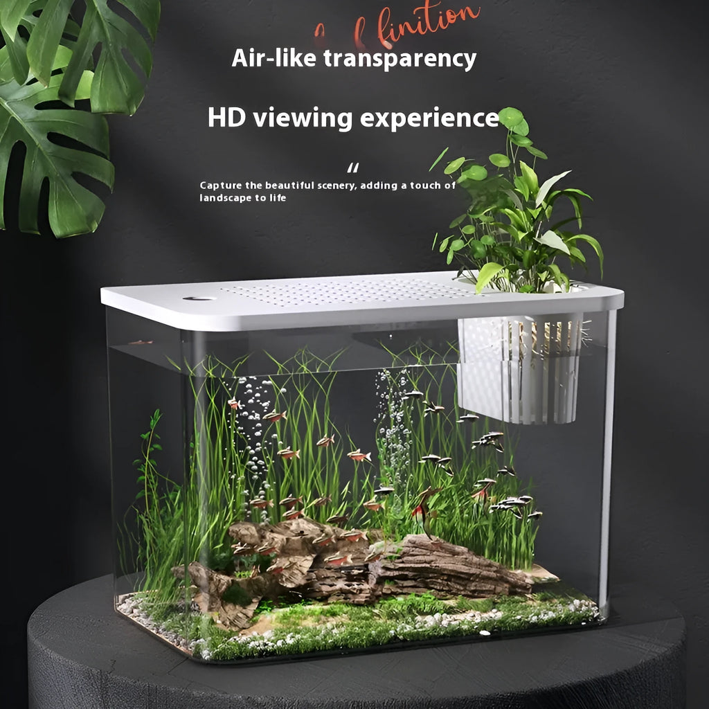 Medium black plastic betta tank with removable cover measuring 32cm long
