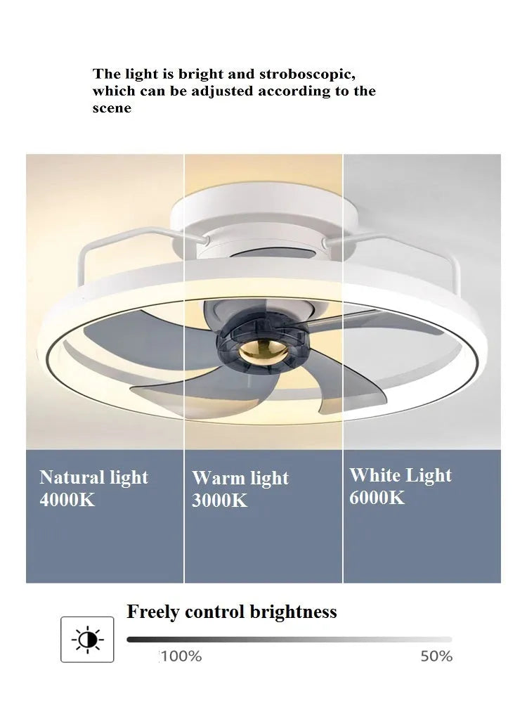 Modern simple style ceiling fan with integrated light, 500mm diameter with PC blades and acrylic shade.