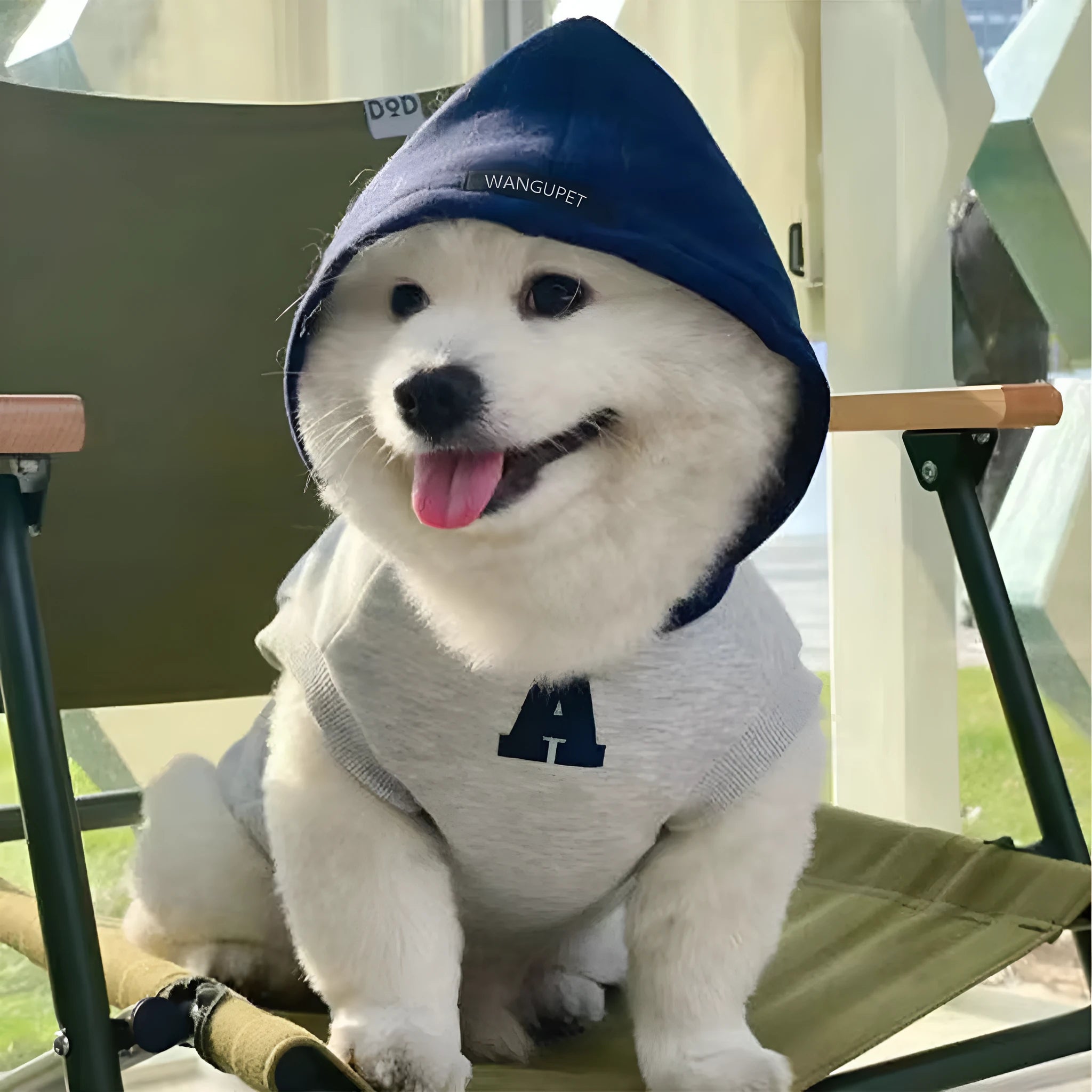 Blue and gray white pet hoodie with reflective lettering for cats and dogs