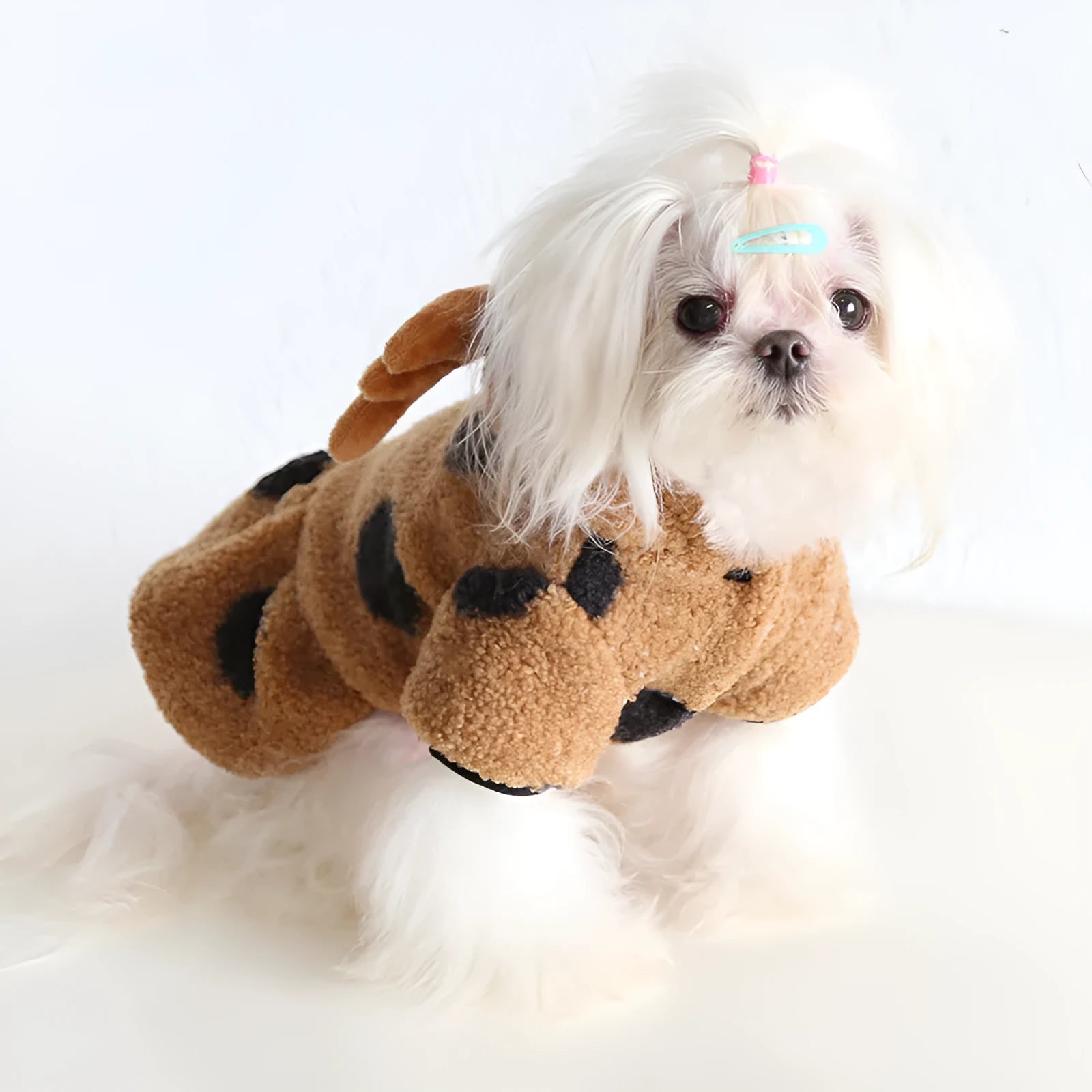 Big Polka Dot Elk Couple design pet clothing for dogs or cats in skirt and four-legged styles.