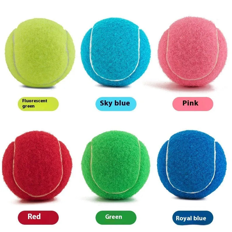 Blue, green, pink, and yellow 6.3cm rubber dog tennis balls for bite-resistant fetch play.