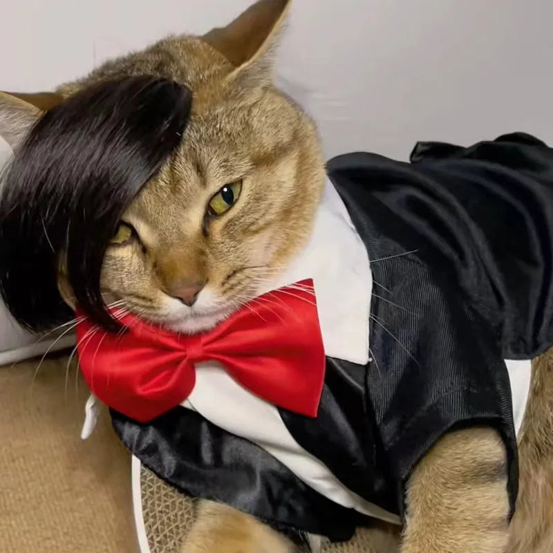 Black imitation braid fox design cat wig for pet costume play