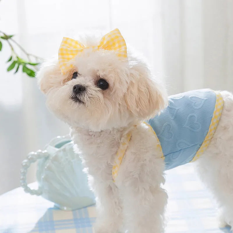 Small dog wearing blue elastic vest with heart pattern and bow suspenders