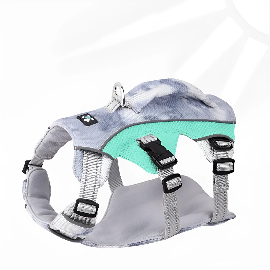 Reflective light blue polyester chest strap harness for a dog on a size chart showing XXS to L.