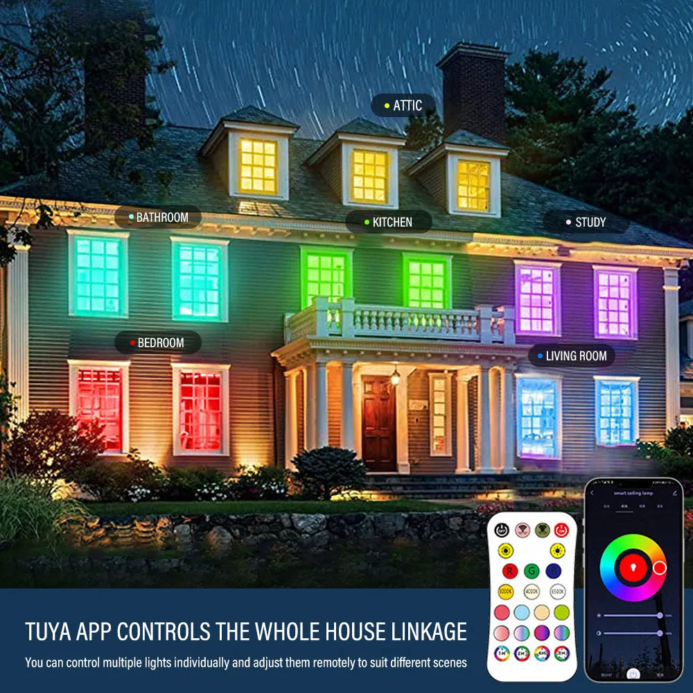 RGBCW intelligent Bluetooth ceiling lamp in black or white with remote control