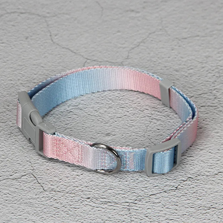 Nylon dog leash and matching gradient colour collar set for pet walking