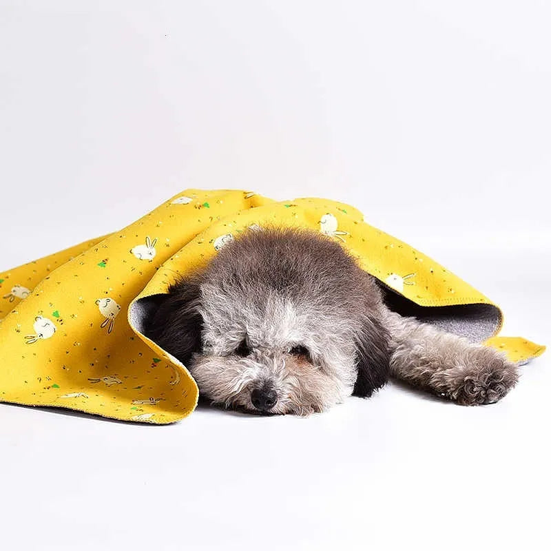 Double-sided cotton wool pet blanket with dinosaur cartoon design showing two size options