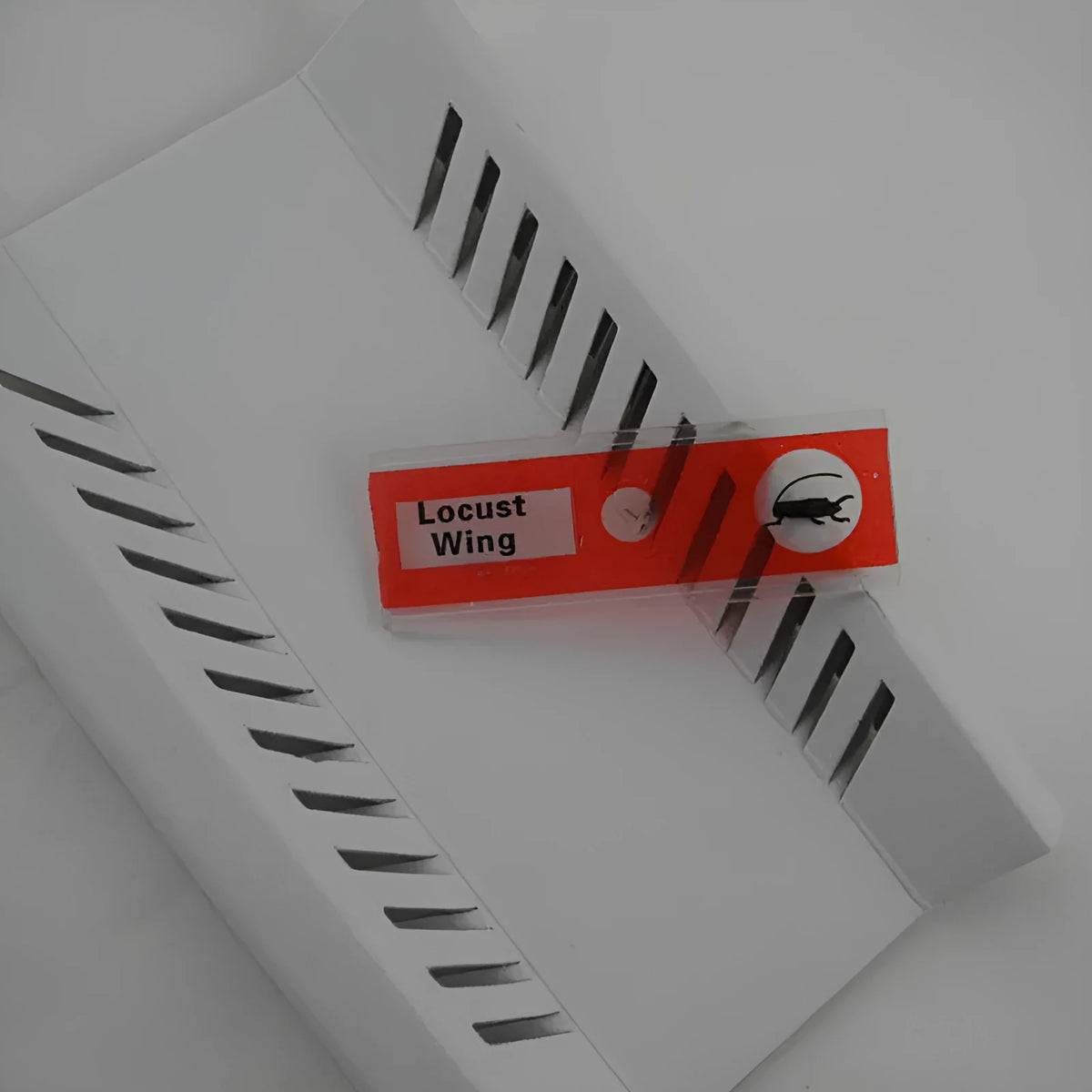 Plastic microscope slides with prepared biological specimens in red, green, yellow, and blue colour-coded categories