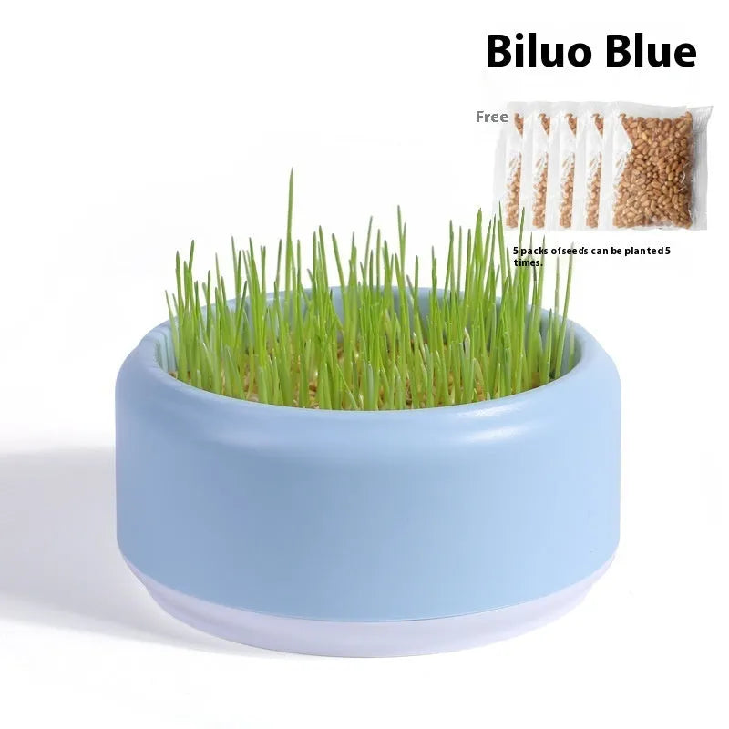 Blue, green, and yellow hydroponic cat grass cups with five packs of seeds on a white background