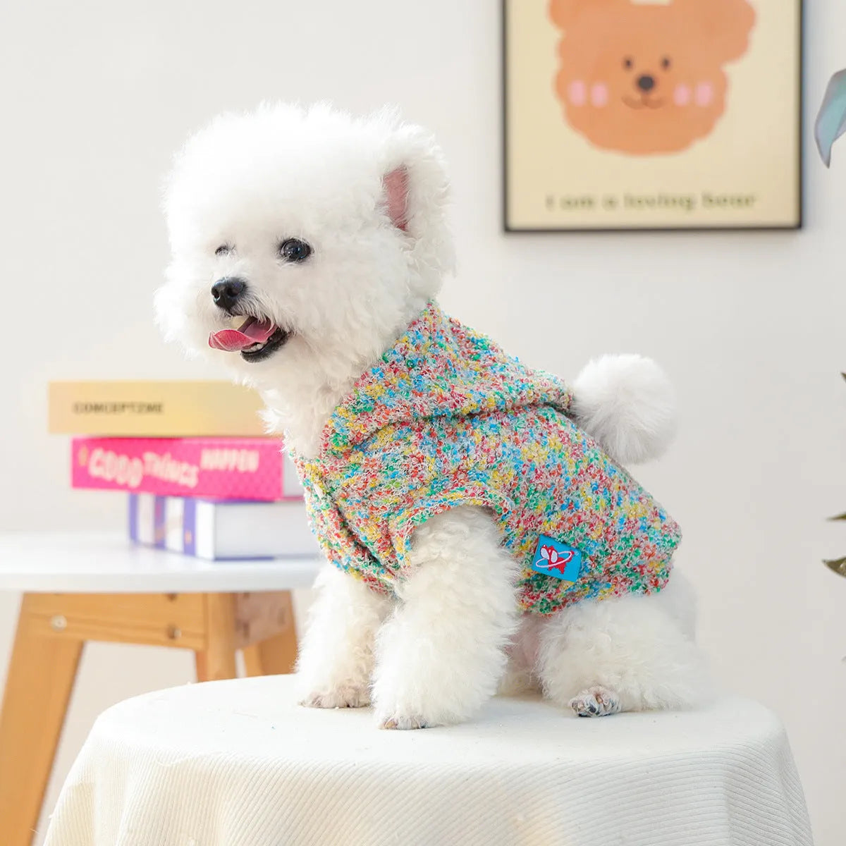 Candy coloured polyester pet hoodie for small puppy dog or cat in unisex style sizes XS to XL