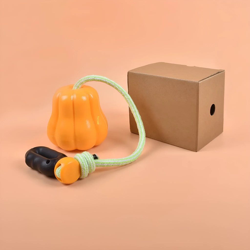 Orange pumpkin-shaped plastic dog toy with rope attachment for outdoor fetch games