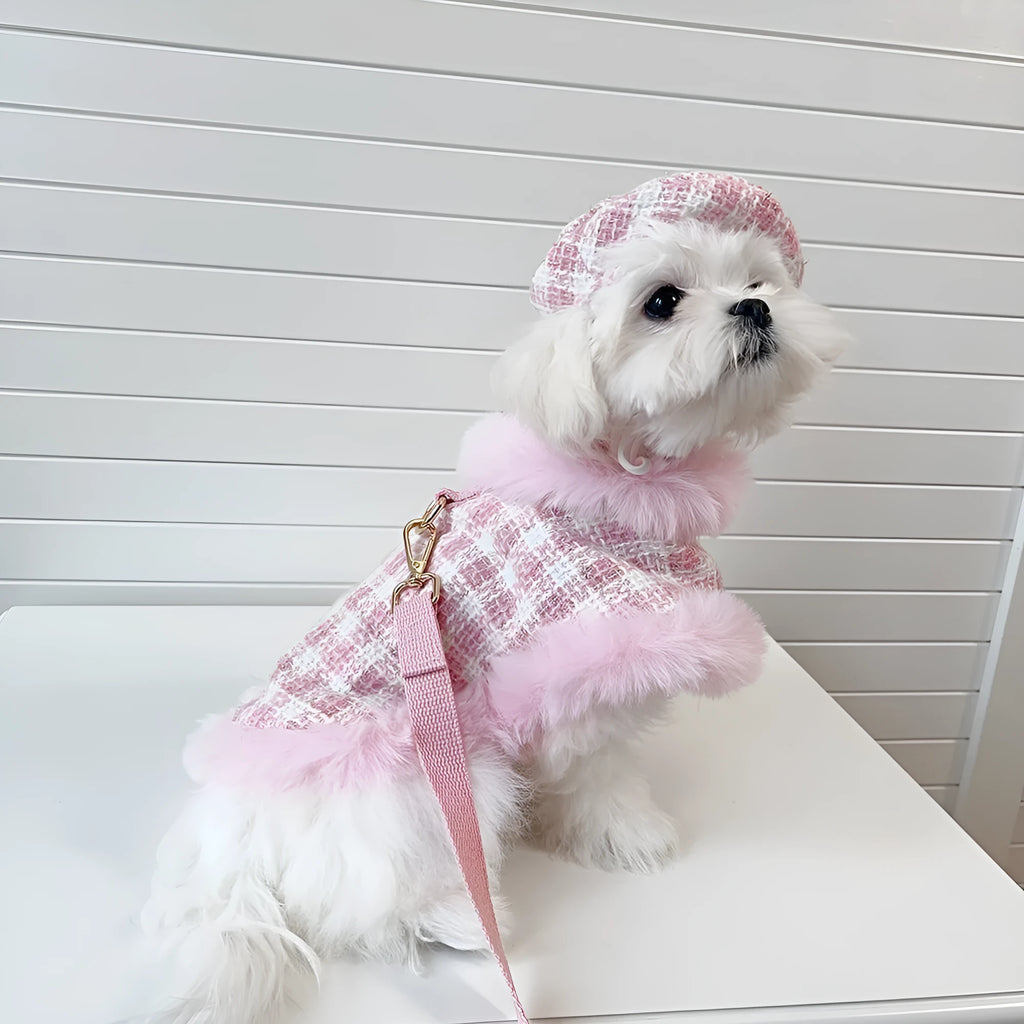 Pink polyester cat clothing set with cloak, beret and drawstring on small cat