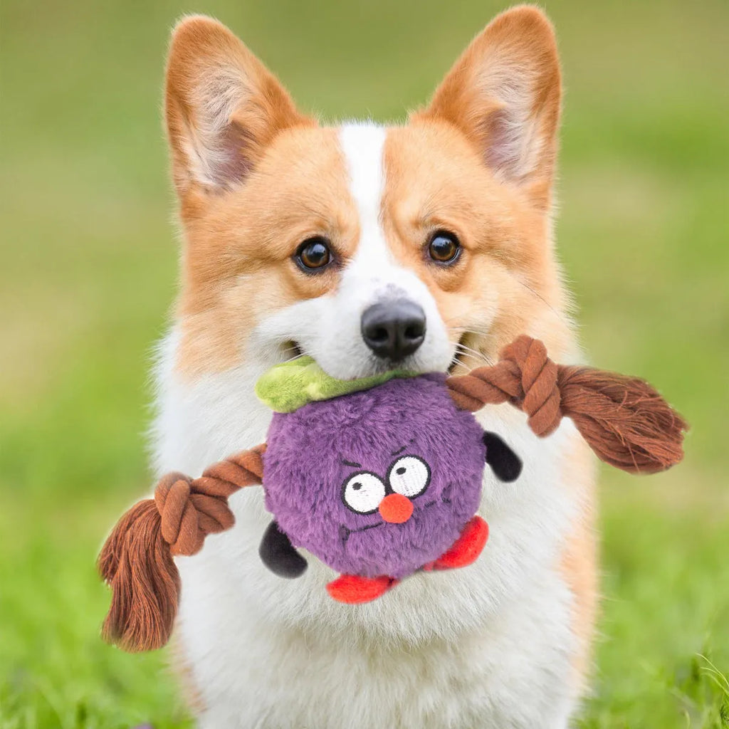 Green and purple plush rope knot dog toy with molar tooth shape for tug of war games.