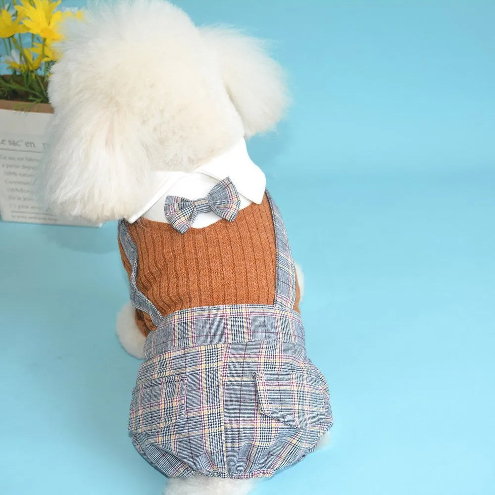 Cotton dog suit shirt in dark blue or orange colour options