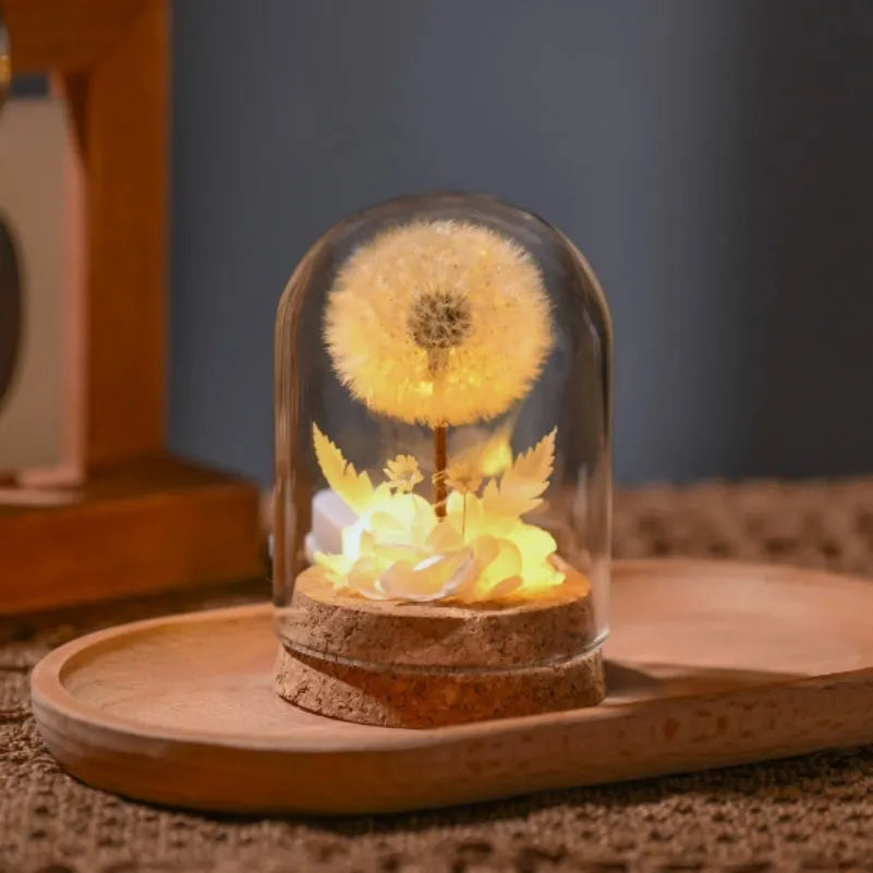 Glass dandelion-shaped night light ornament with gradient colour options on display surface