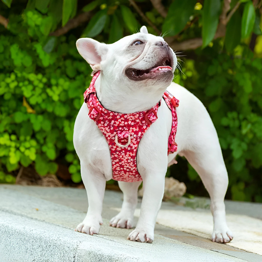 Pure cotton pet chest strap harness in floral pattern with pull-resistant design for dog walking