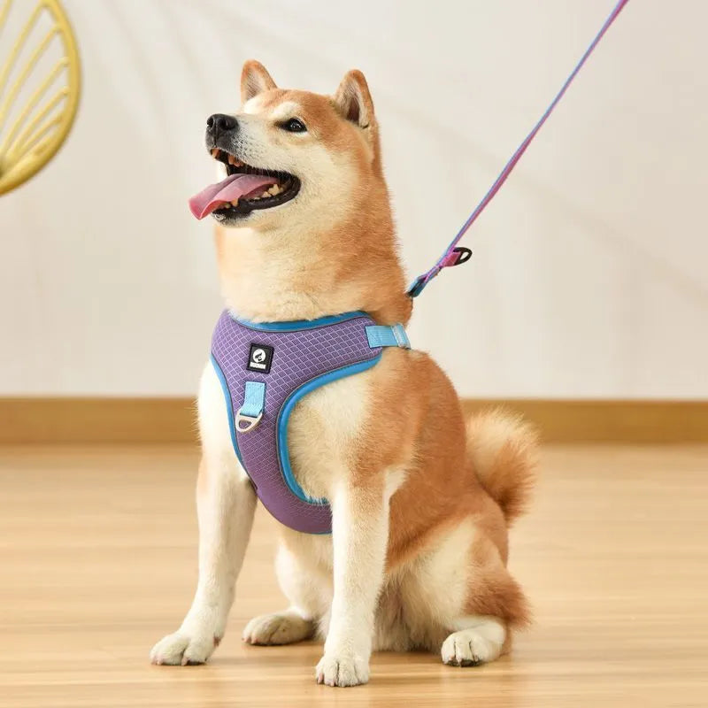 Adjustable mesh dog harness with reflective strips in black, red, grey, or light purple.