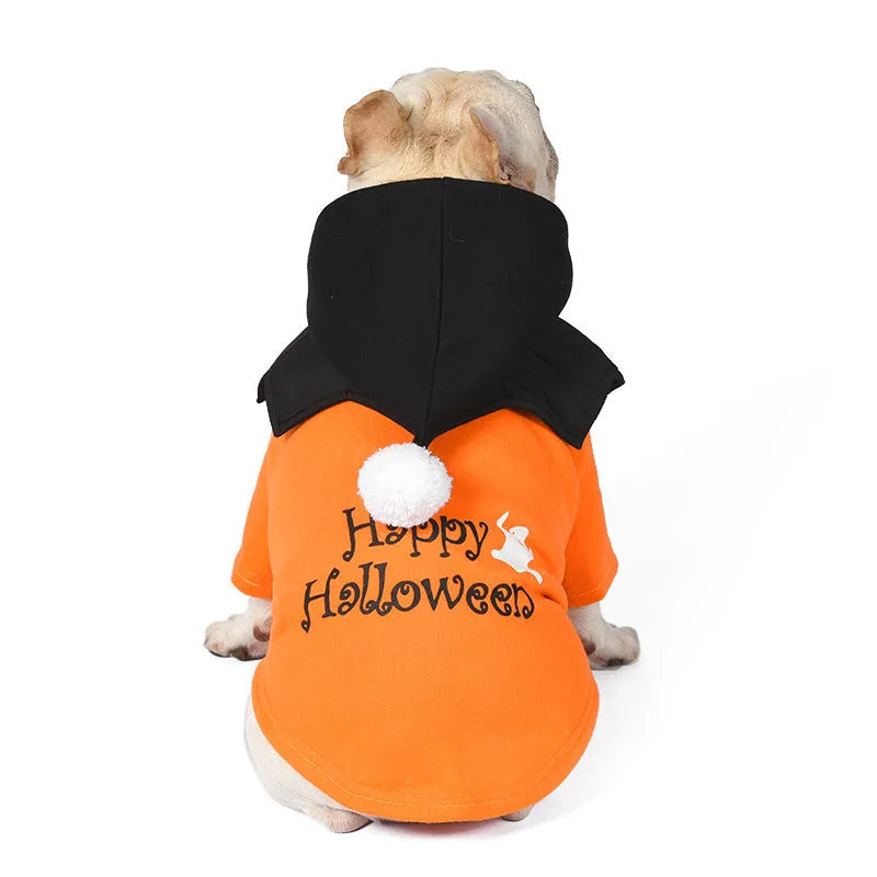 Black and orange Halloween dog sweater with pumpkin shawl costume on pet