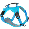 Adjustable dog chest harness and leash set in multiple colours and sizes