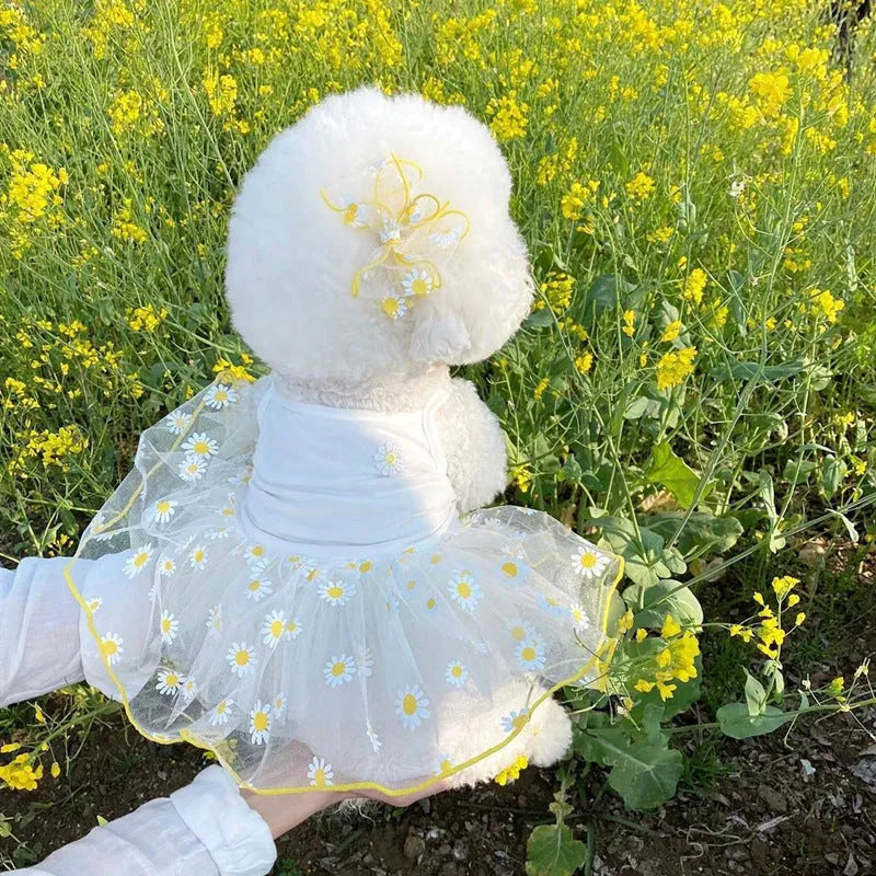 Yellow little daisy patterned thin dog clothes with floral accessories for summer canine wear