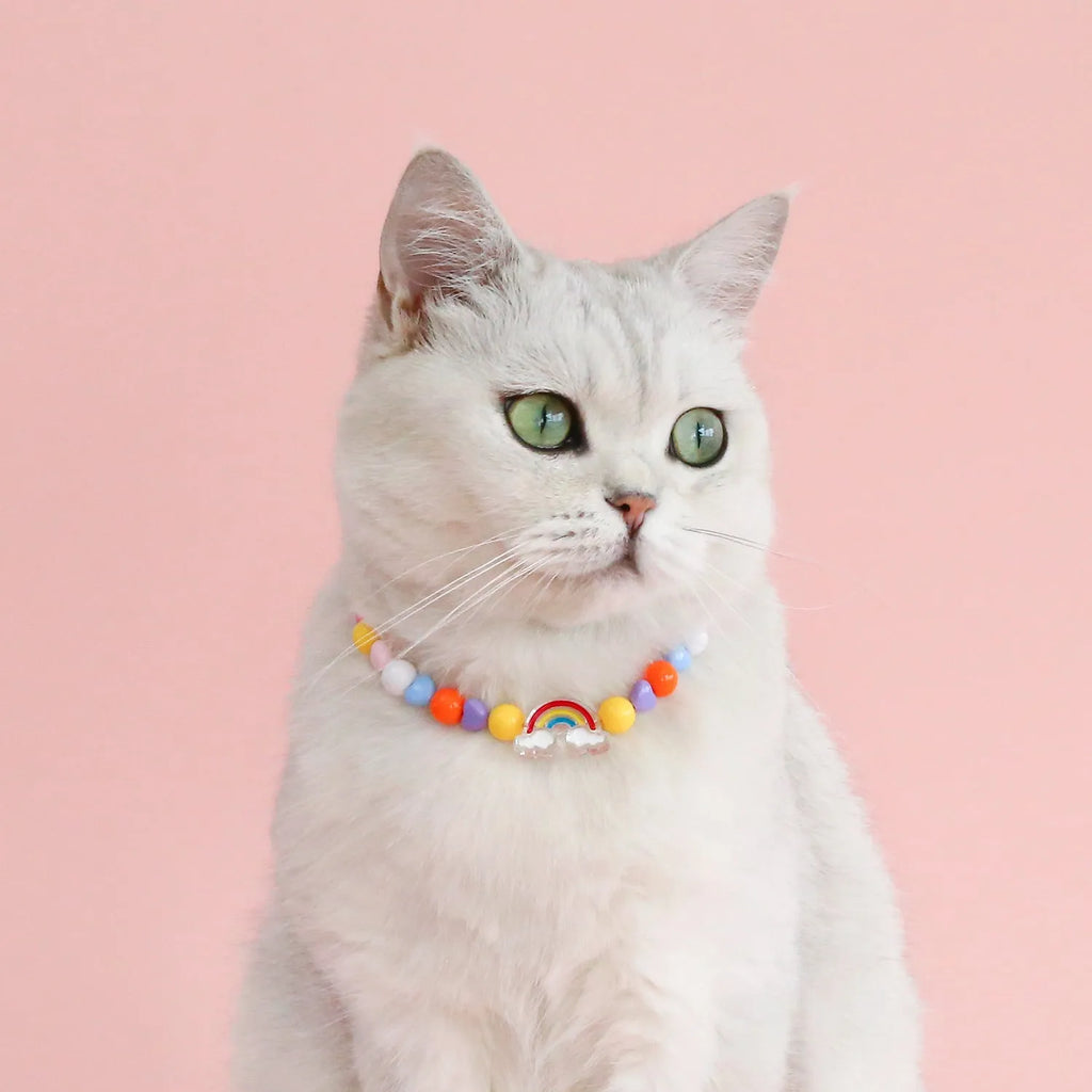 Colourful plastic bead pet necklace with small flower design on a adjustable strap.