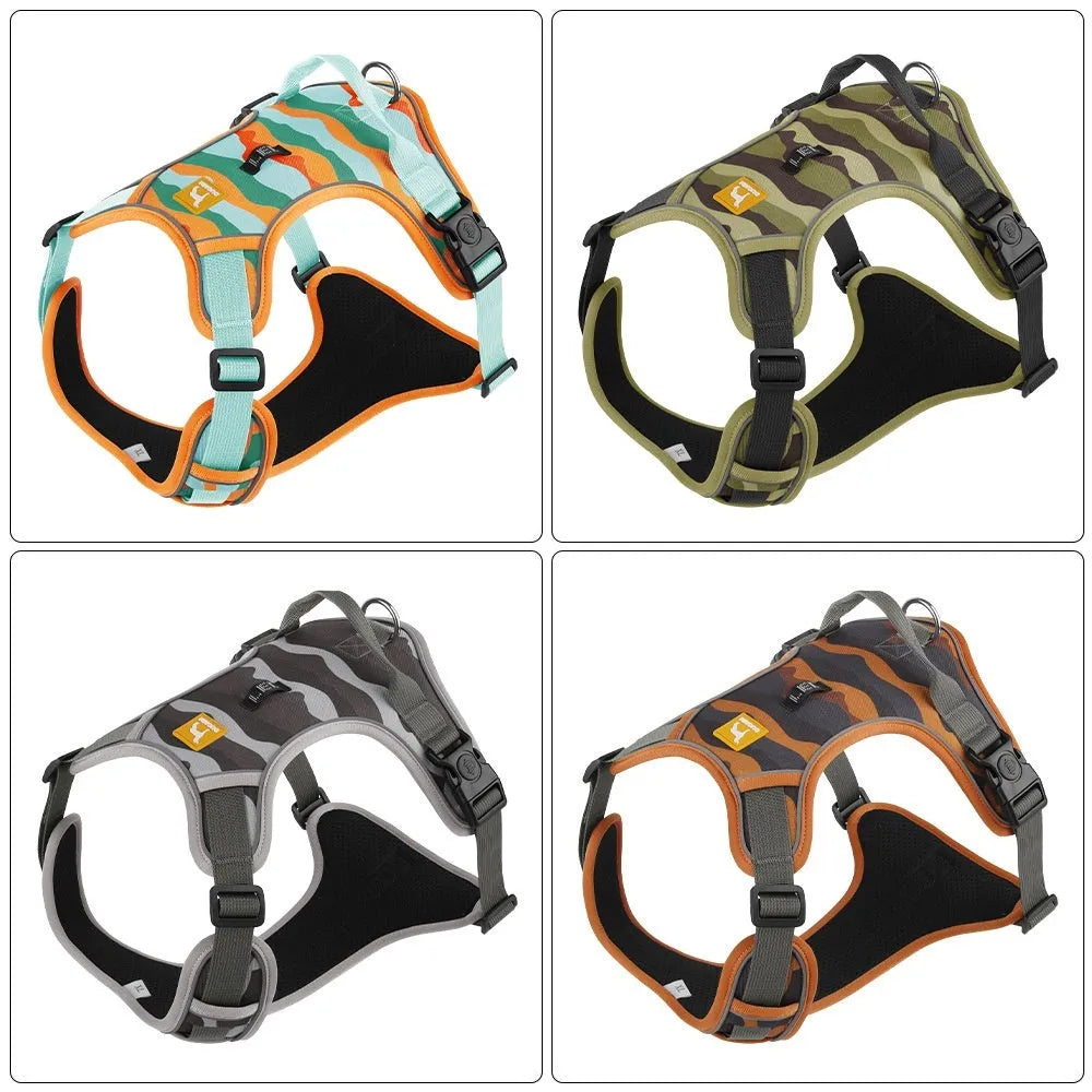 Orange dog harness and lead with chest strap, handle, and reflective strips for commuter safety.