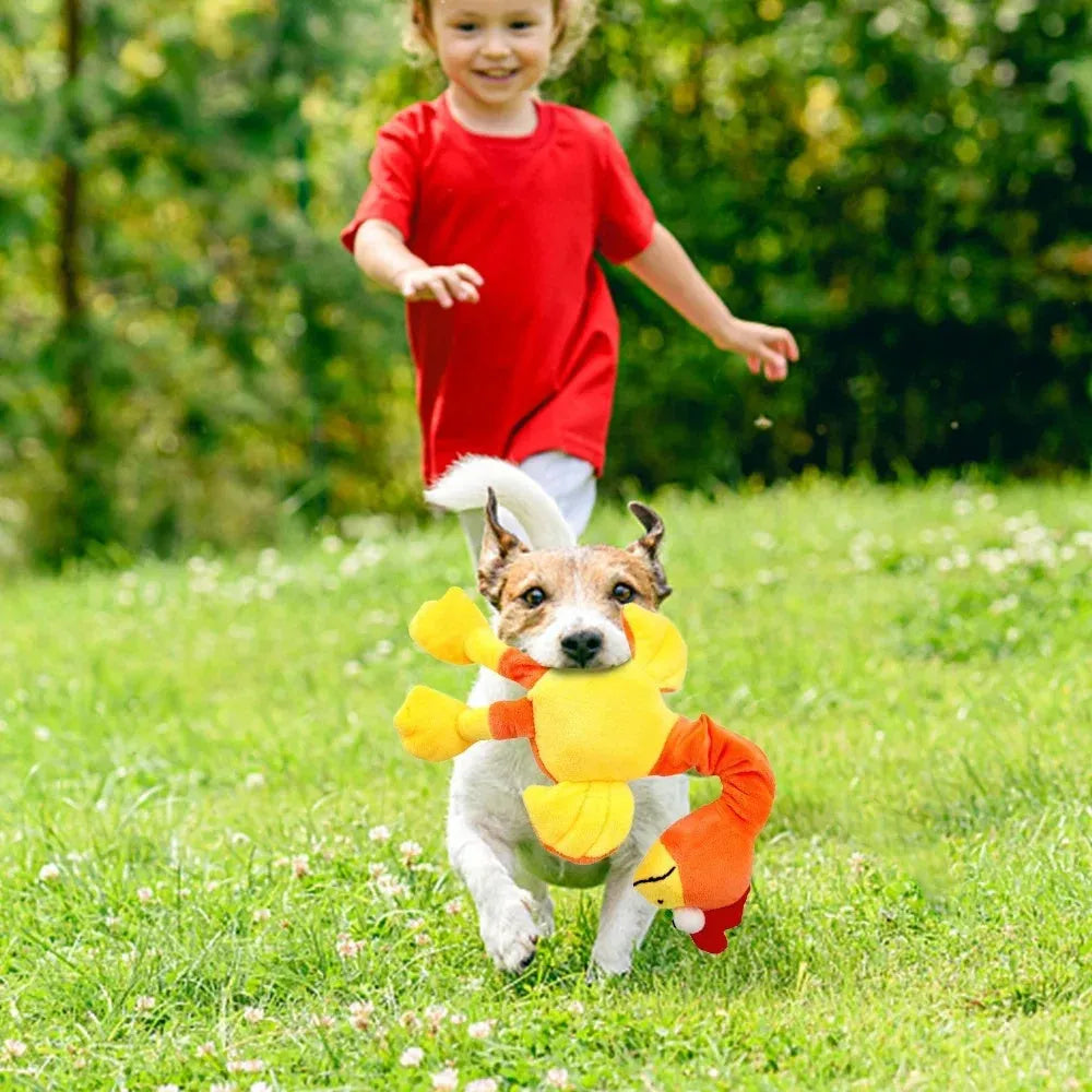Chicken-shaped rubber dog toy producing screaming and squeaky sounds