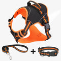 Yellow polyester dog harness and lead set shown on model dog for size reference.
