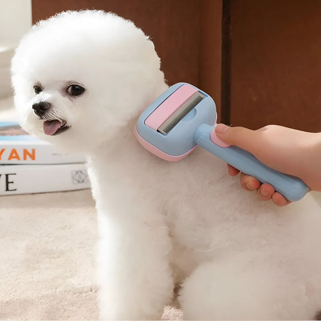 Blue double-sided pet grooming brush showing deshedding rake and dematting comb sides