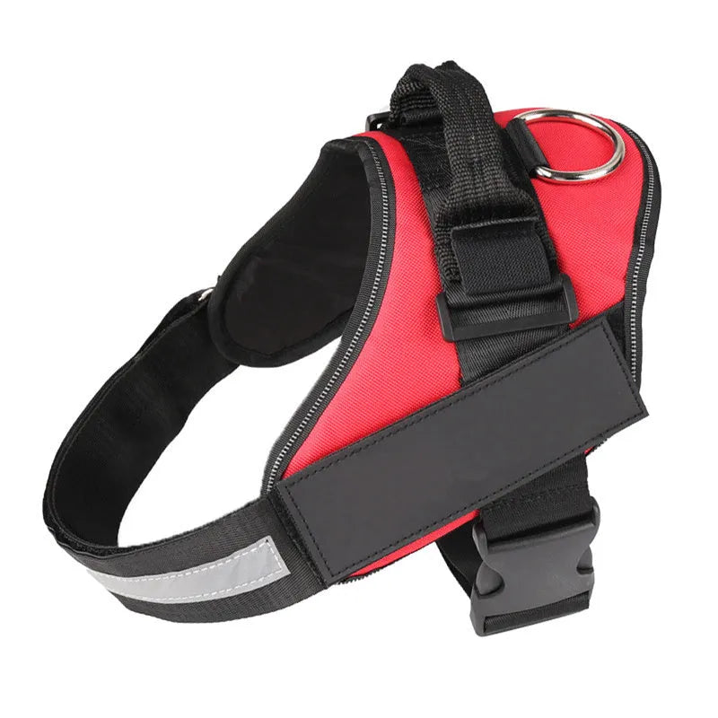 Adjustable nylon dog harness with reflective strips and a sturdy handle on a dog.