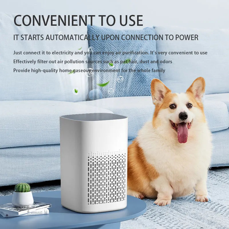 Desktop air purifier with USB power connection and simple design for small space air purification