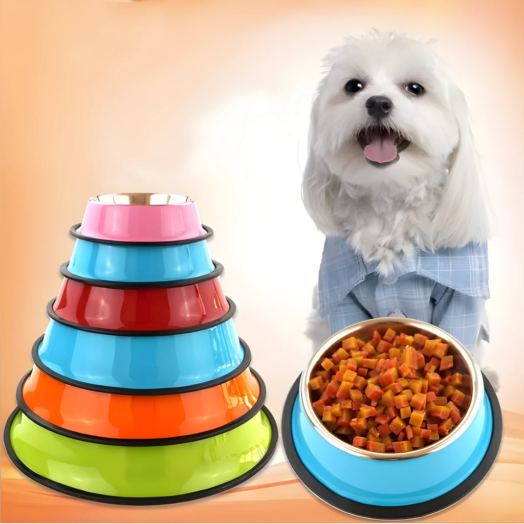 Stainless steel pet bowl with colourful melamine exterior and non-slip rubber base ring