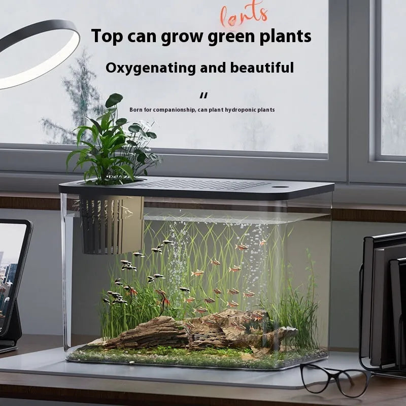 Medium black plastic betta tank with removable cover measuring 32cm long