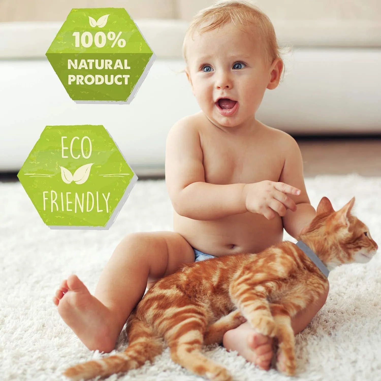 Rainbow coloured plastic flea and lice prevention collar for pets