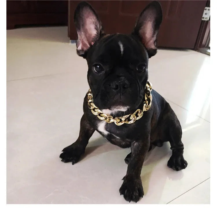 Geometric shaped gold colour dog collar with chain links and buckle on a white background.