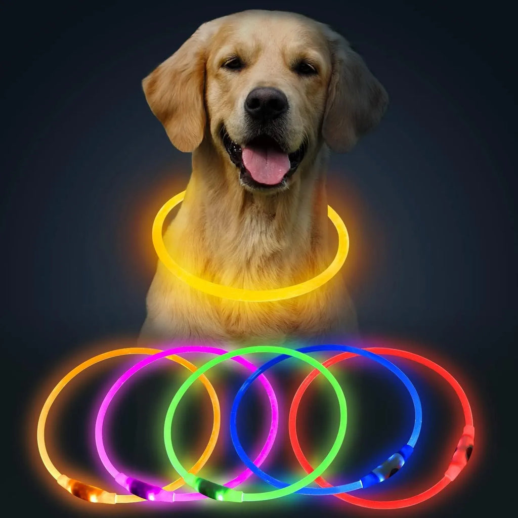 USB rechargeable LED dog collar glowing blue with adjustable 70cm length for night-time pet safety