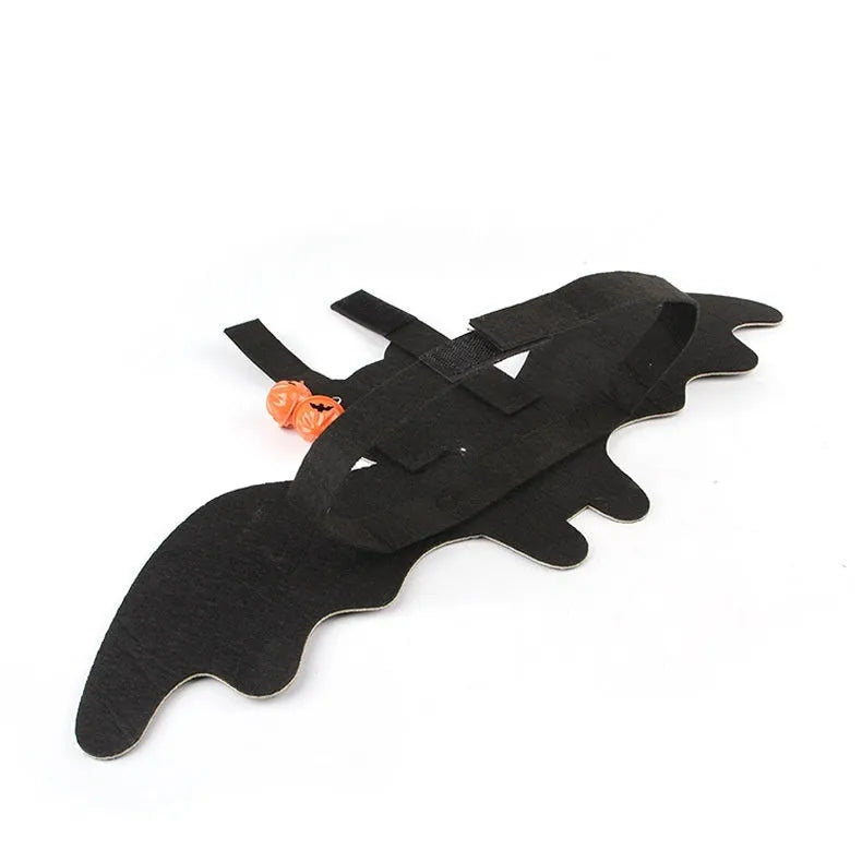 Halloween batwing cloak costume for a cat, made from black and orange felt.
