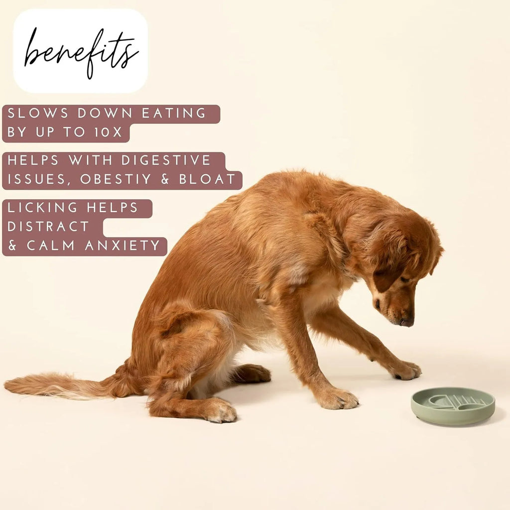 Silicone slow feeder dog bowl with ridges in beige, charcoal, blue, yellow, green, or red.