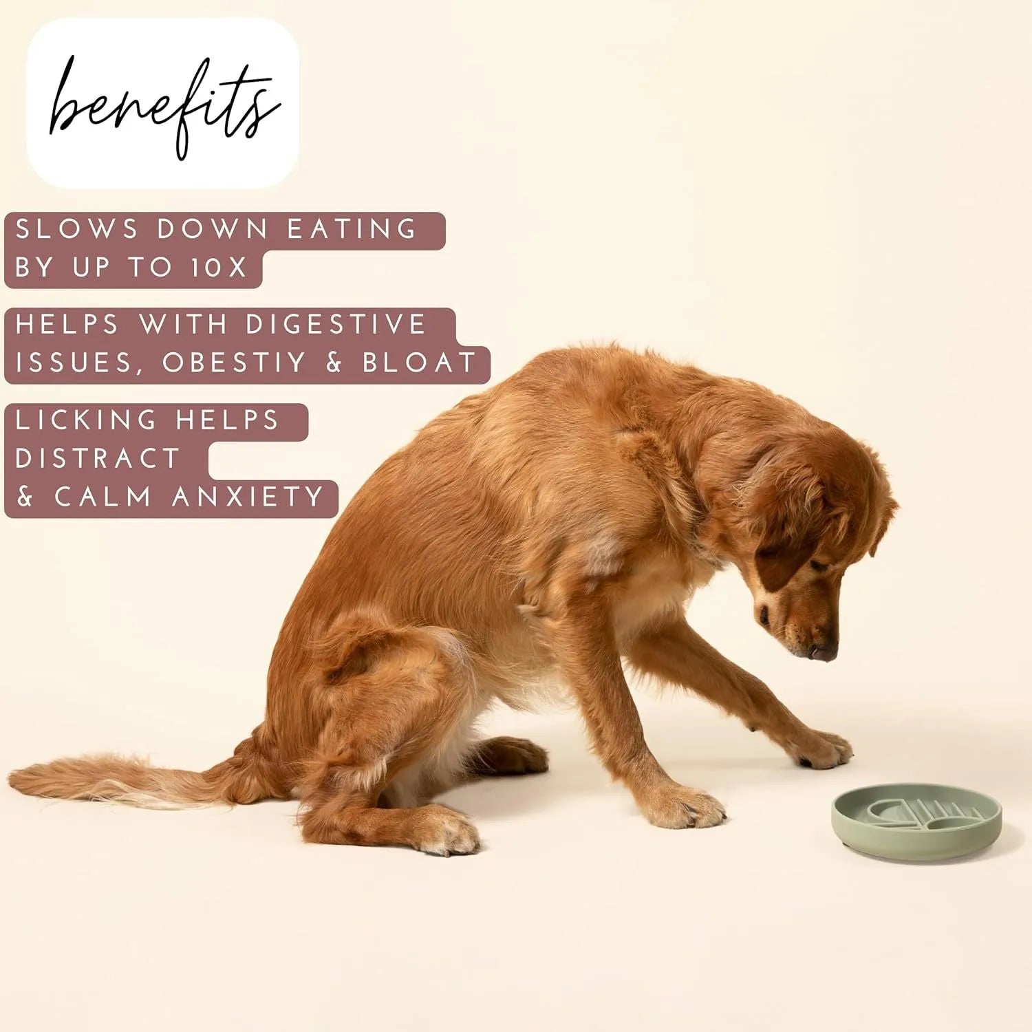Silicone slow feeder dog bowl with ridges in beige, charcoal, blue, yellow, green, or red.