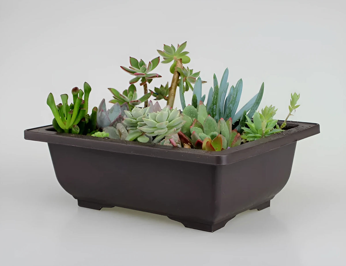 Dark brown antique-style plastic flowerpot in recycled material, showing classic design for indoor or balcony plants