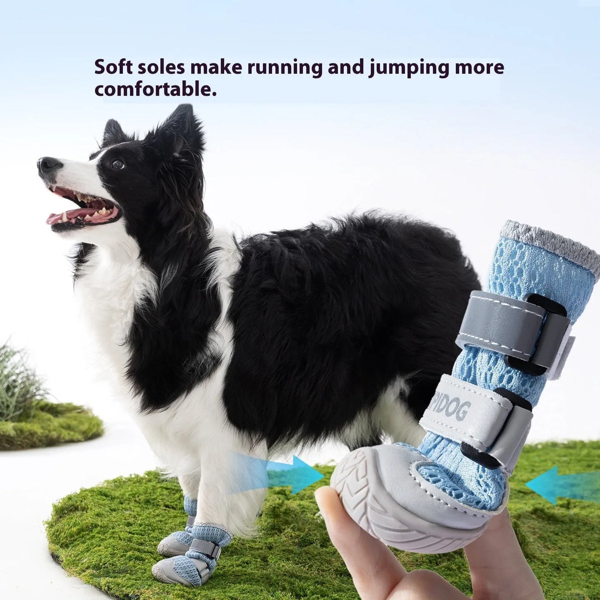 Cartoon style dog shoes in Bondi Blue and Dean Green colours for summer breathable anti-scald protection