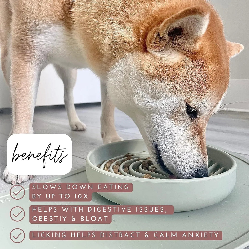 Silicone slow feeder dog bowl with ridges in beige, charcoal, blue, yellow, green, or red.