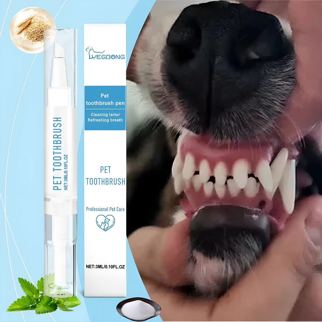 Soft-bristled pet toothbrush pen with 3ml dental gel for dog and cat teeth cleaning