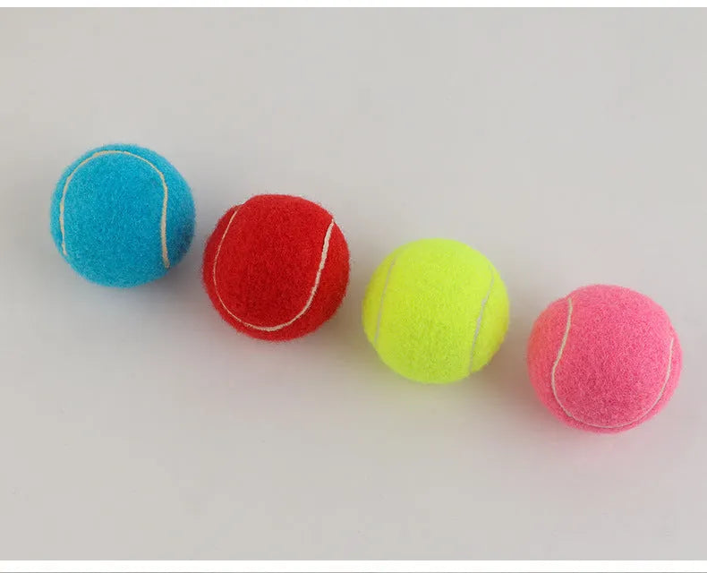 Blue, green, pink, and yellow 6.3cm rubber dog tennis balls for bite-resistant fetch play.