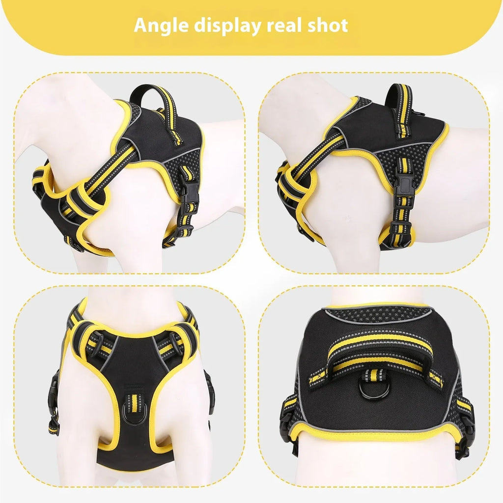 Yellow polyester dog harness and lead set shown on model dog for size reference.