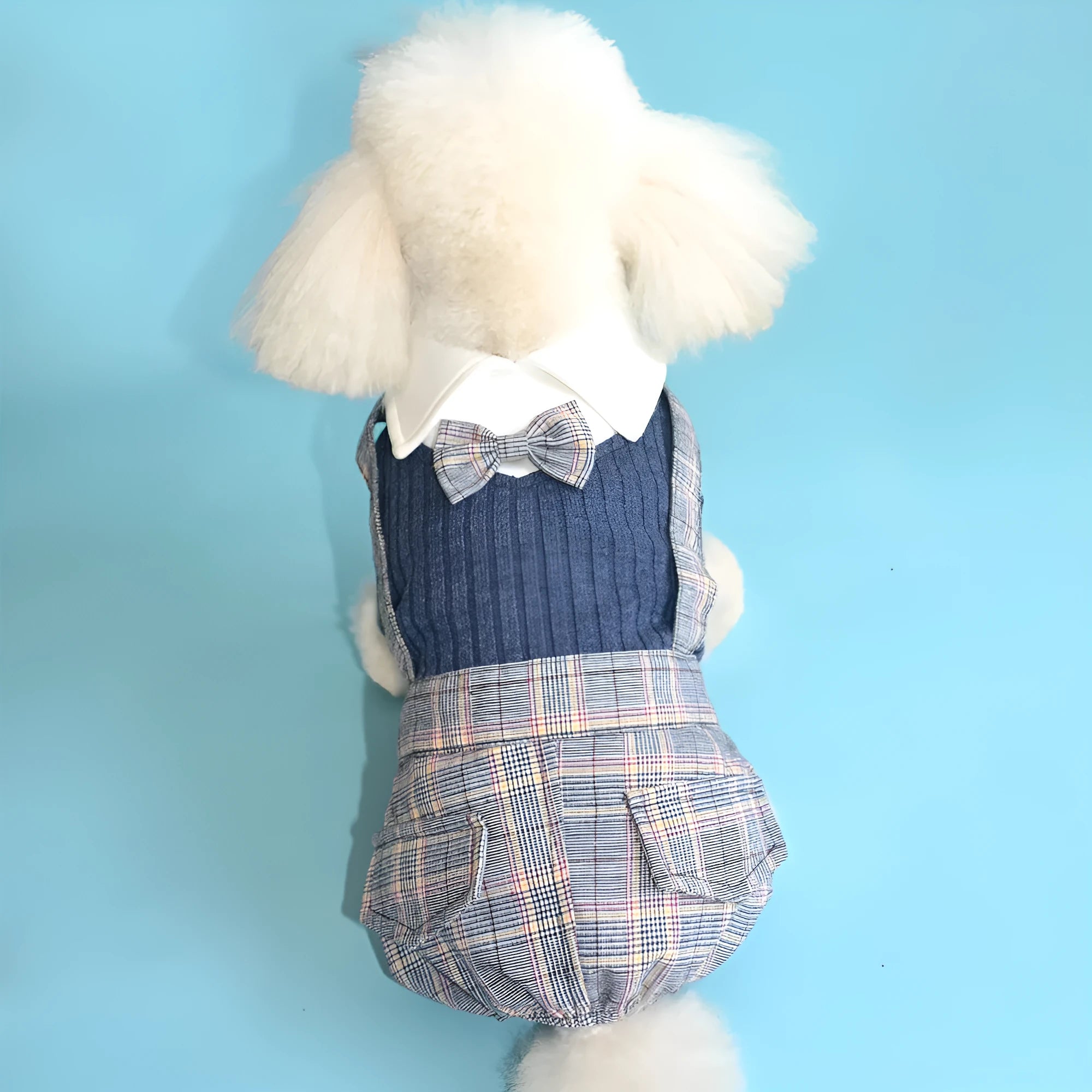 Cotton dog suit shirt in dark blue or orange colour options